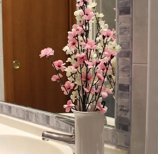 루이지애나 호텔 *